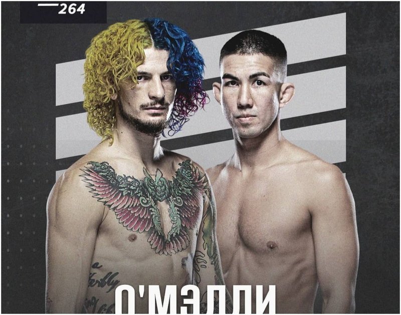 Шон О&#039;Мали срещу Луис Смолка на UFC 264