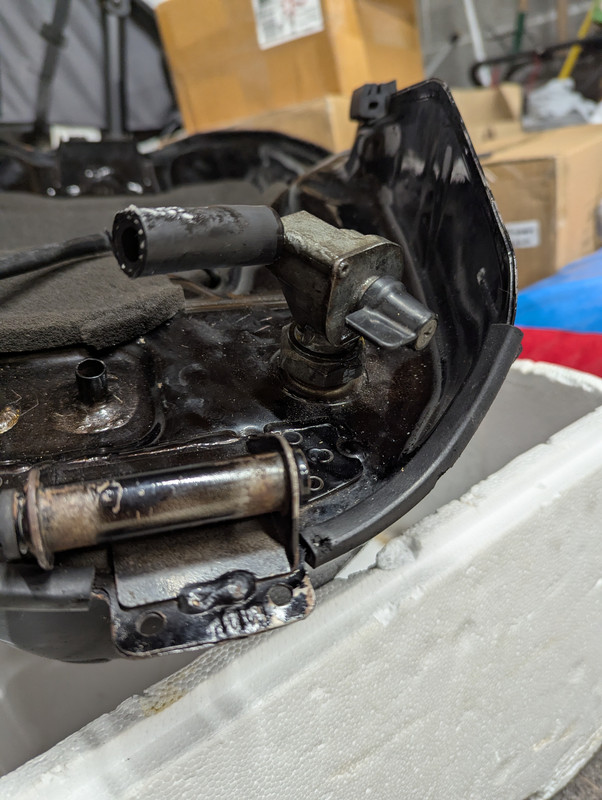 PXL_20250217_152556925