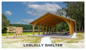 Loblolly Shelter