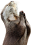ot2.png