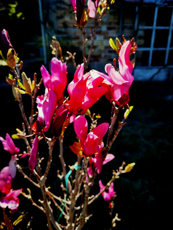 IMG_20230326_152358