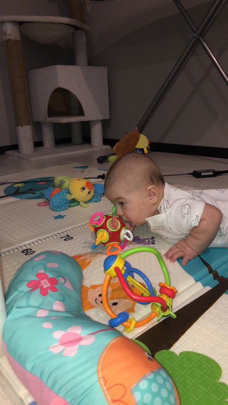 D51896E8-A1E3-43FD-92E0-A1E6C0EA7016