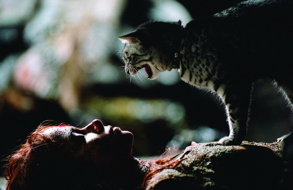 cuplikan Catwoman (2004)