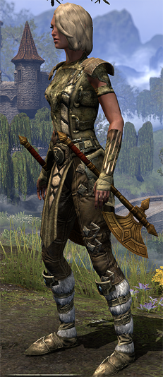 nordsorc1.png