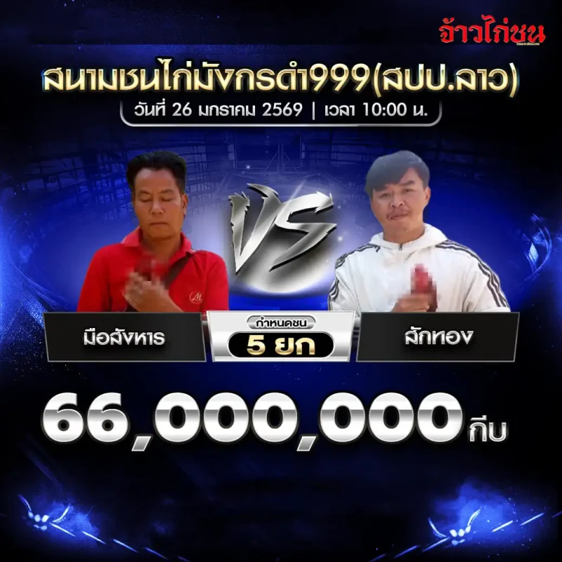 โปรแกรมไก่ชน คู่เด่น มือสังหาร พบ รักทอง สนามชนไก่มังกรดำ999 วันที่ 26 มกราคม 2569