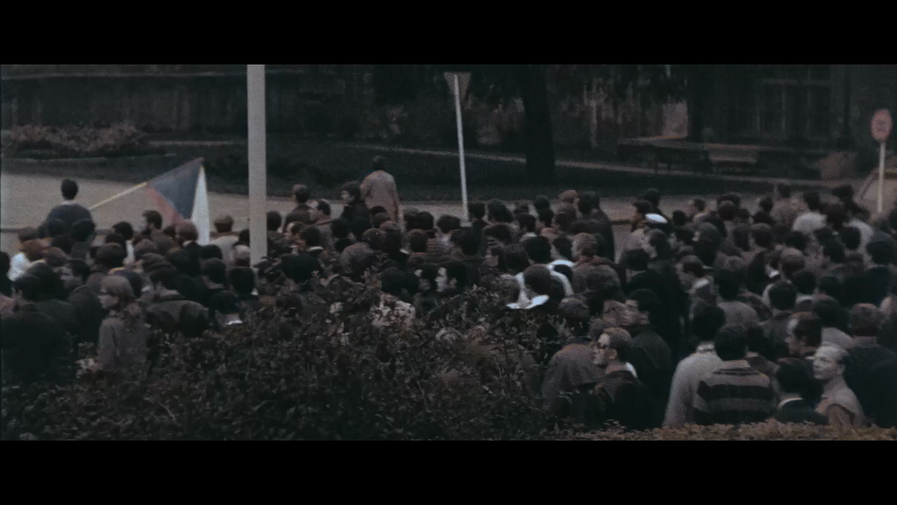 Waves aka Vlny.2024.1080p.WEB-DL.H.264.AAC2.0.mkv_20250225_105416.746