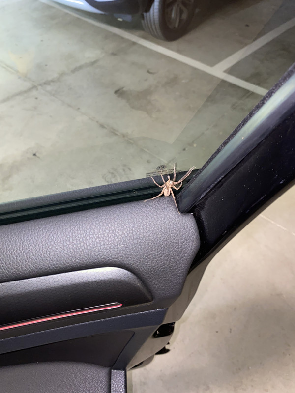 AA154C8E-D6C0-48FC-8869-FB6D1E59D2CA