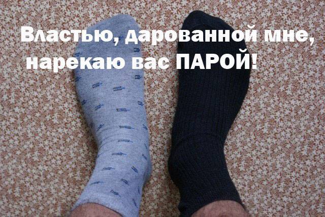 https://i.postimg.cc/d3fsWPyG/10906513-566320380169184-4252201320263256961-n.jpg