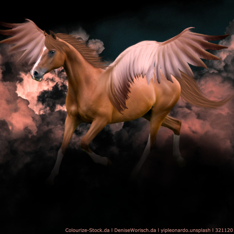 King-Of-The-Clouds.jpg