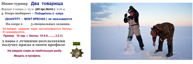 Скриншот 19-10-2024 022127