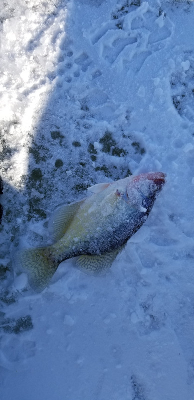 20190318_090315