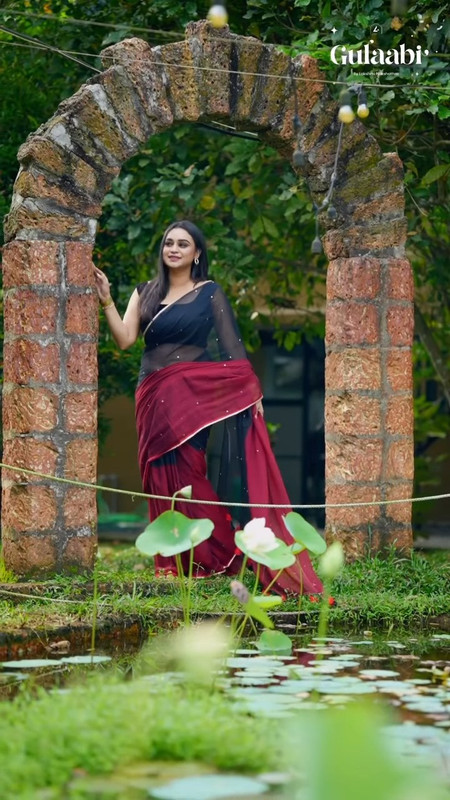 Lakshmi Nakshathra Sexy Navel in transparent saree.mp4_snapshot_00.15.062