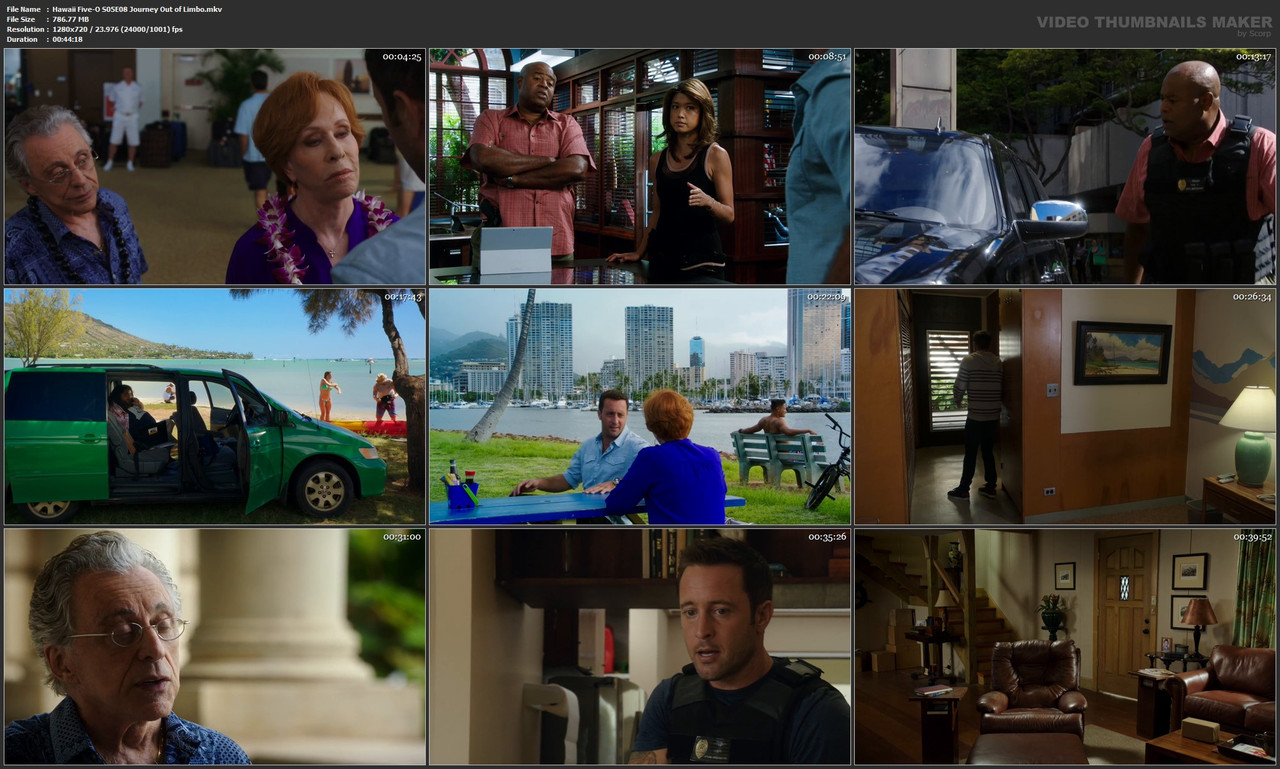 Hawaii Five-O S05E08 Journey Out of Limbo.mkv