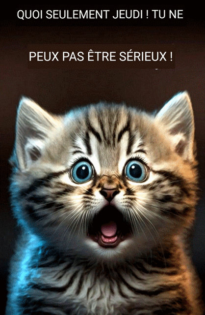 Sans-titre-3