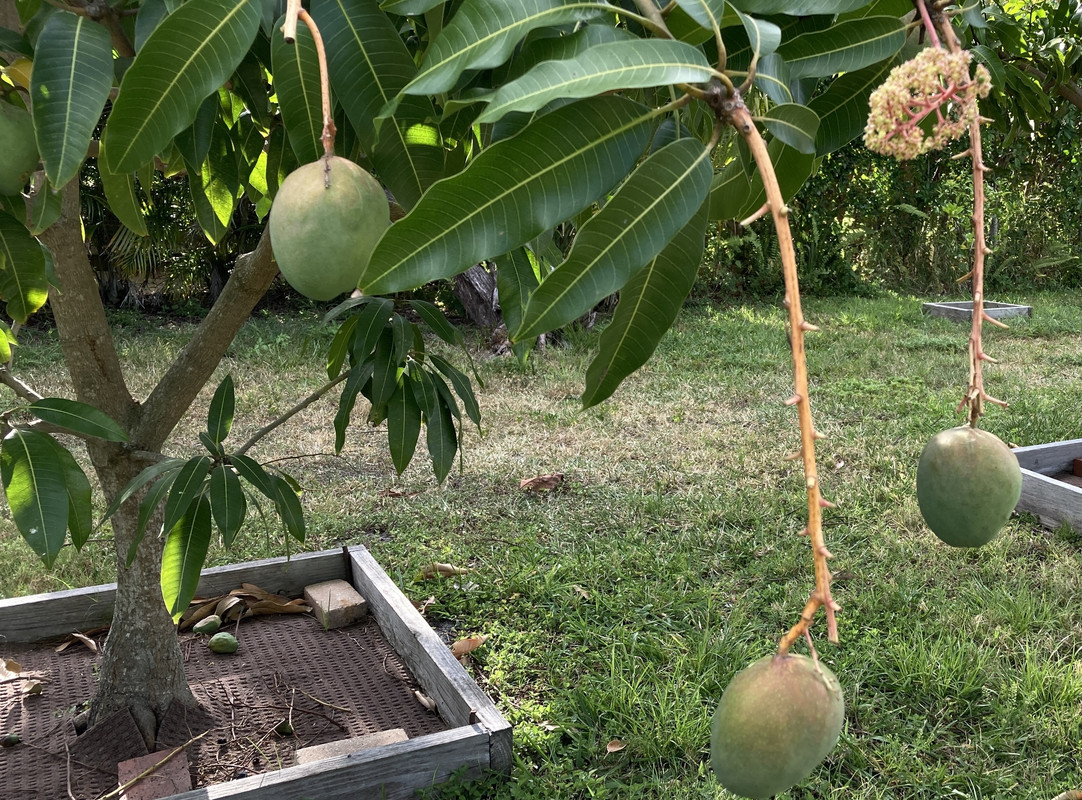 390C6364-C0CC-4DC3-87D6-3DEF48650D00