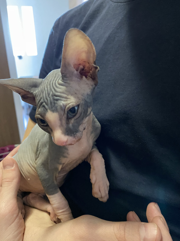 1CF7681B-0D30-416B-804A-B16B35699784