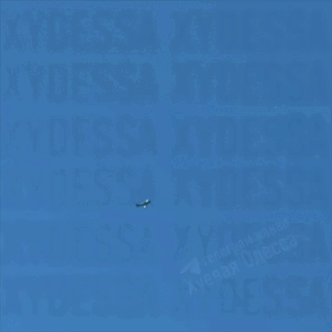 https://i.postimg.cc/d3gm76PC/video-2026-08-23-00-21-59.gif