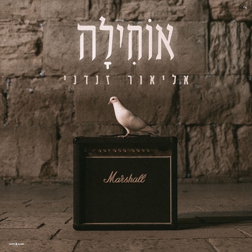 תמונה