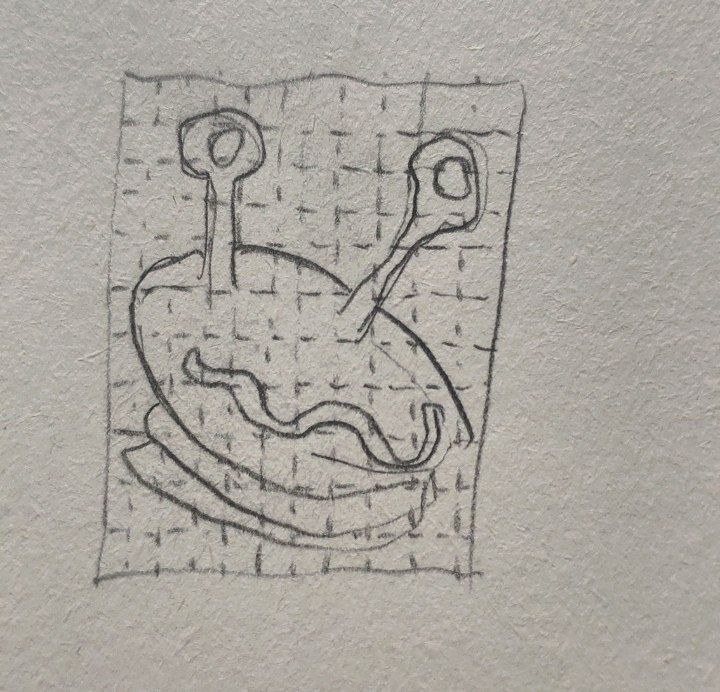 photo_5895675172151738944_x