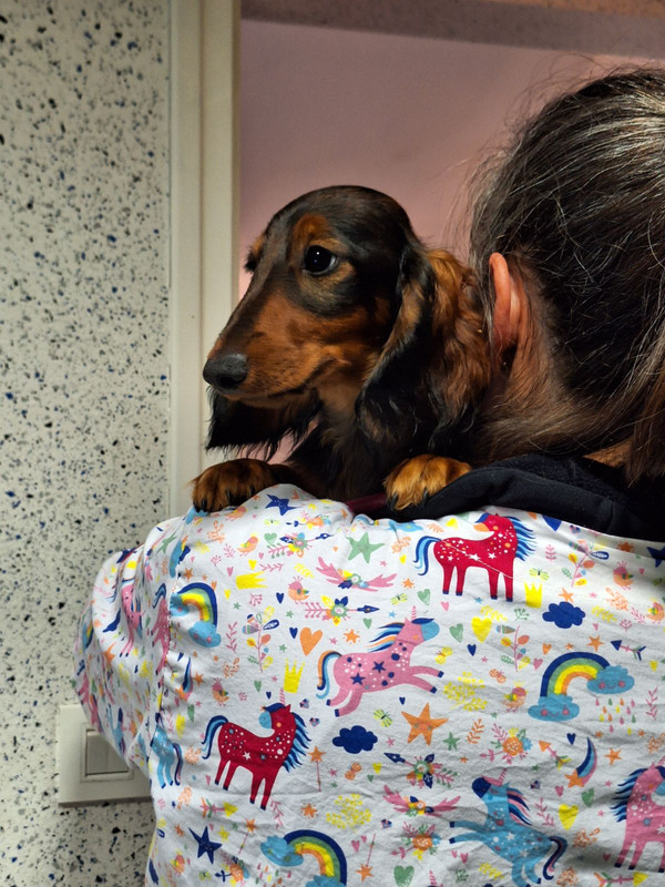 [Image: IMG-20240201-181109.jpg]