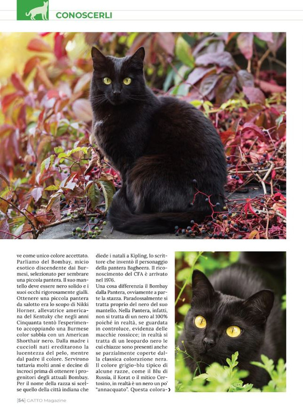 Ga Ma Feb-Mar 2022 (11)