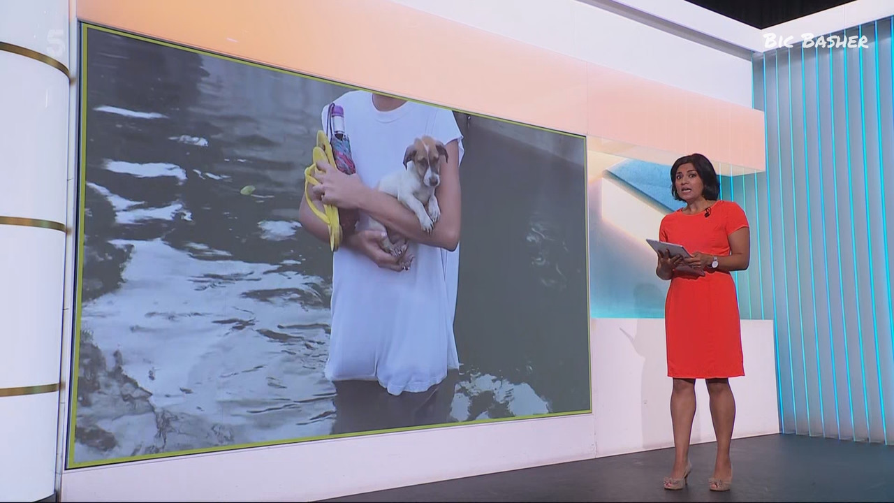 5 News at 5_20250725_17001800.ts_snapshot_39.42.907