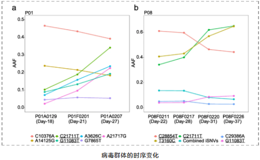 新冠病毒在个体内变异及个体间传播演化最新研究进展-6.png