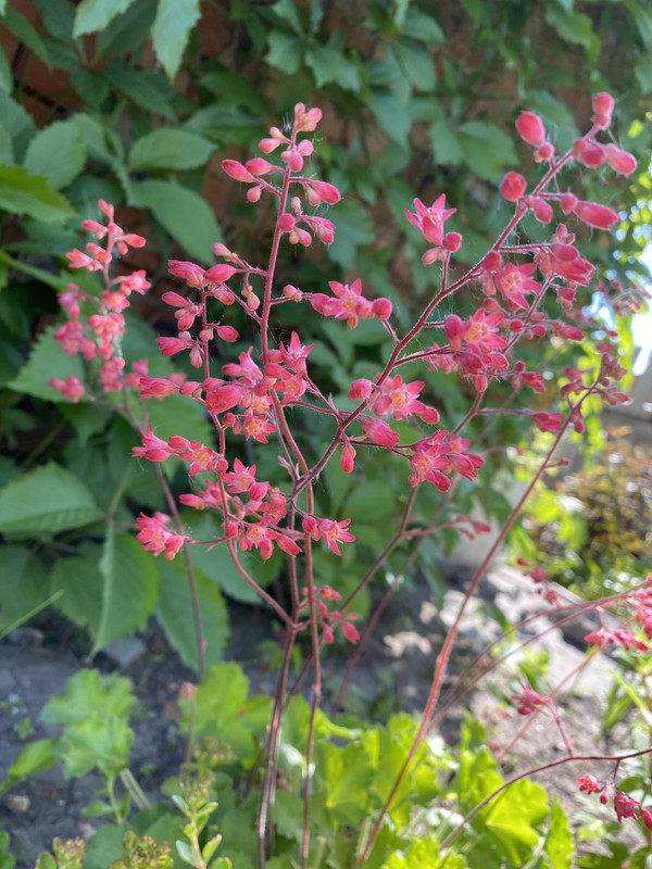 DFE37B5F-B905-4373-9103-3148449B6963