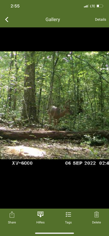 9ED19B2D-A9D9-4211-AA52-7DC34E10C0C6