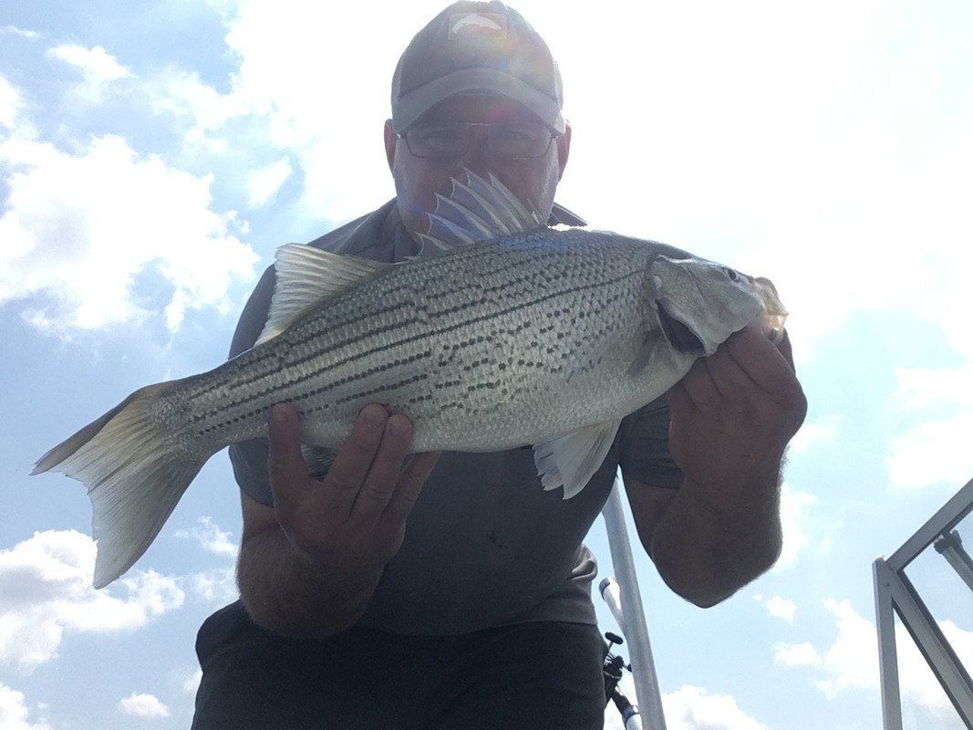 79B7FA47-FBD0-42F9-A782-72589D1E9264