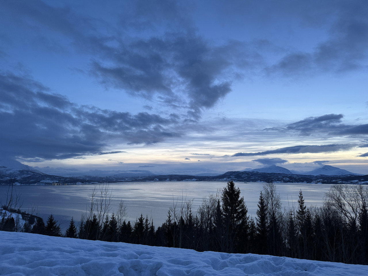 [Immagine: IMG-7961.jpg]