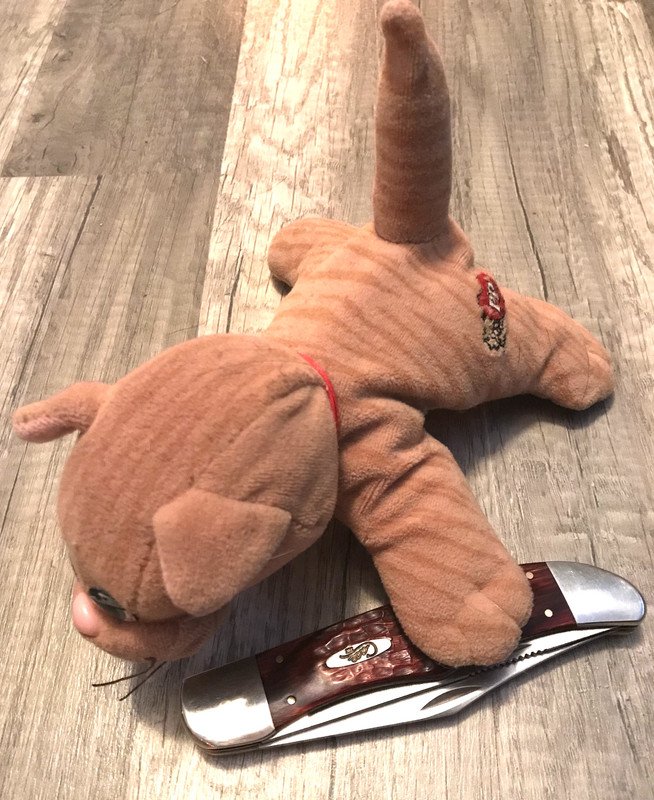 DBC2DF45-AA97-4FDF-9684-A1F383AA30C9