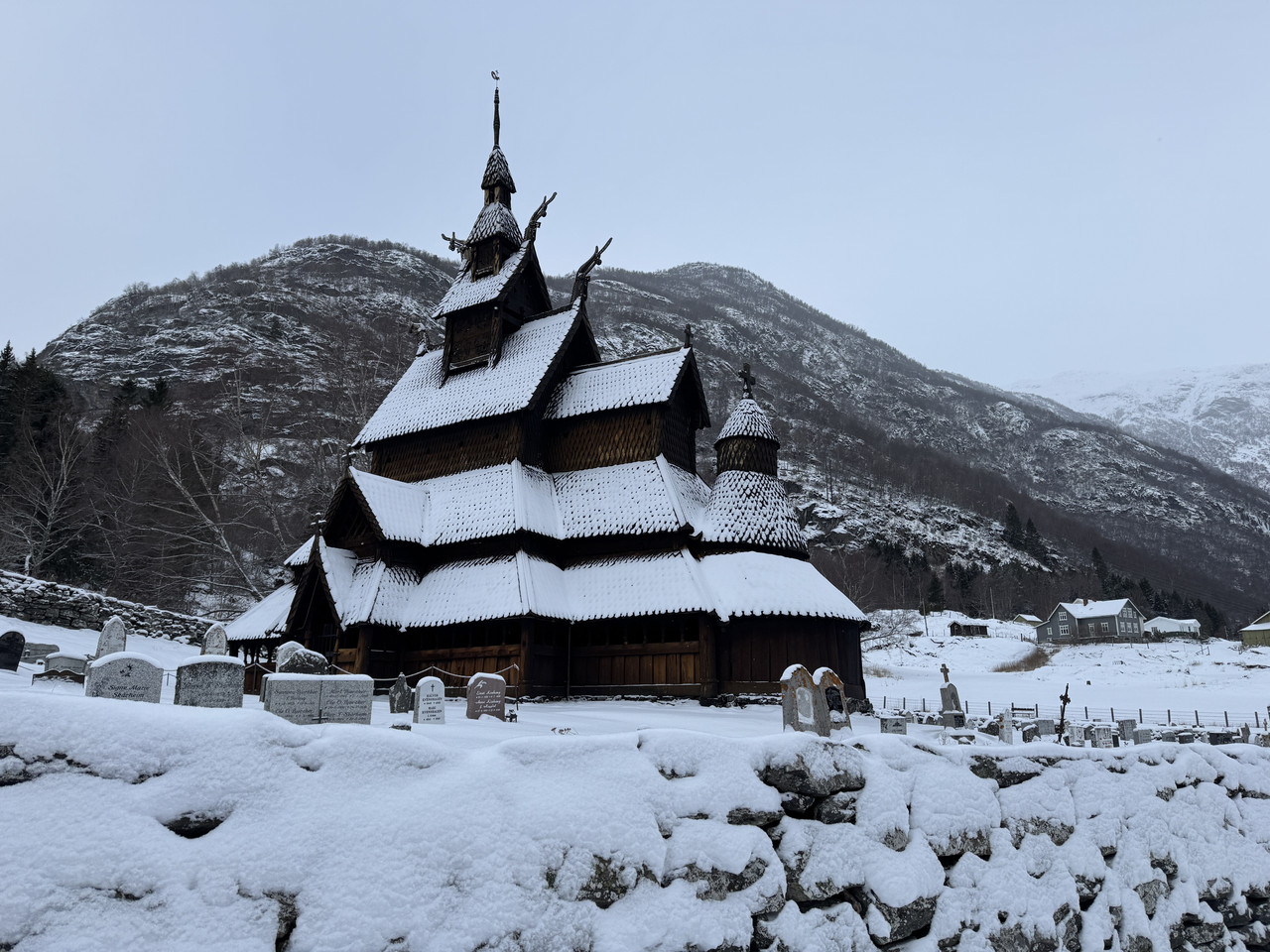 [Immagine: IMG-9576.jpg]