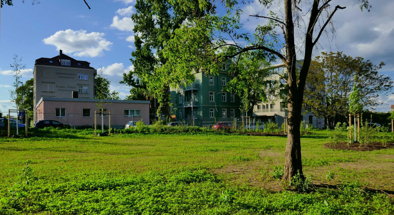 P1360308.jpg