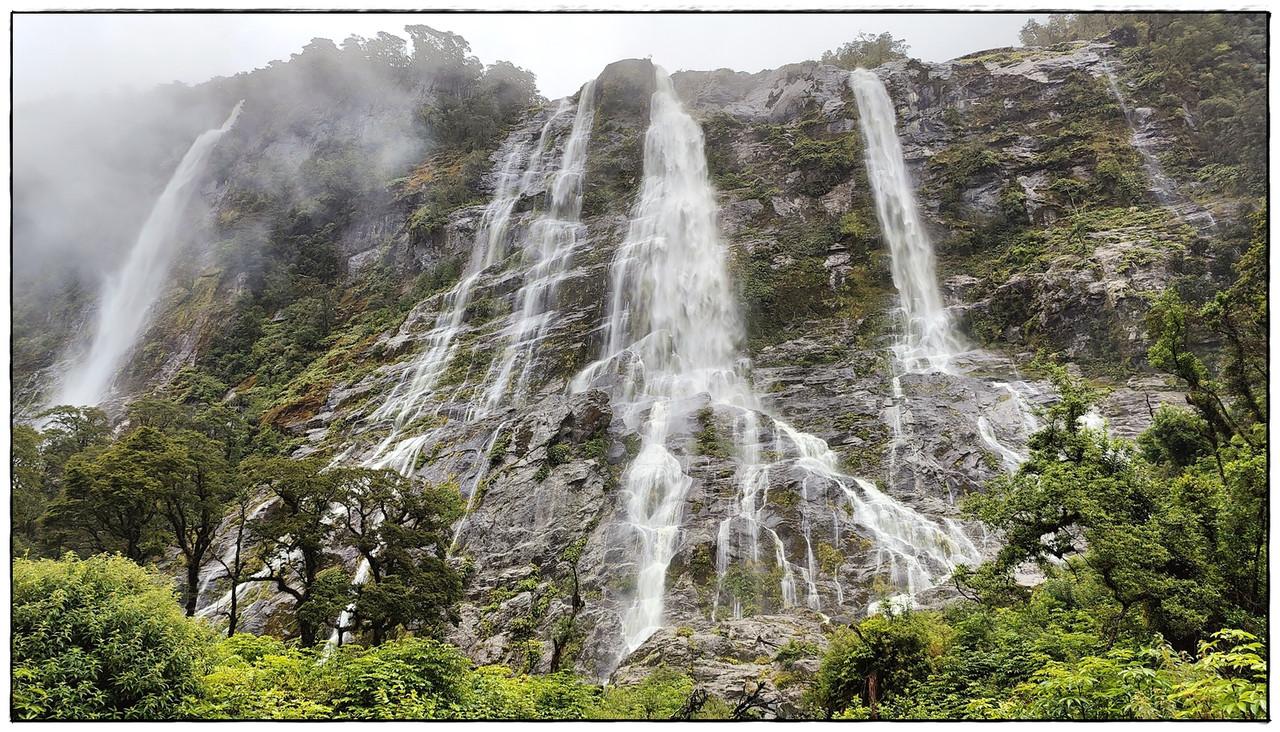 Fiordland NP: Milford Track (enero 2023) - Escapadas y rutas por la Nueva Zelanda menos conocida (58)