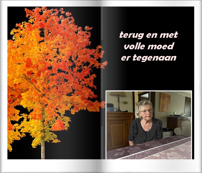 welkom op Bunic Jos
