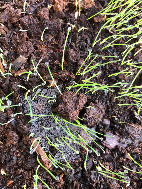 FE1FD1A5-8FE1-4C69-AE70-3CA6E873C0FD