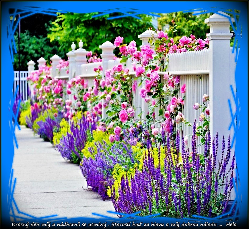 pátek 18.7.2025úúúpr