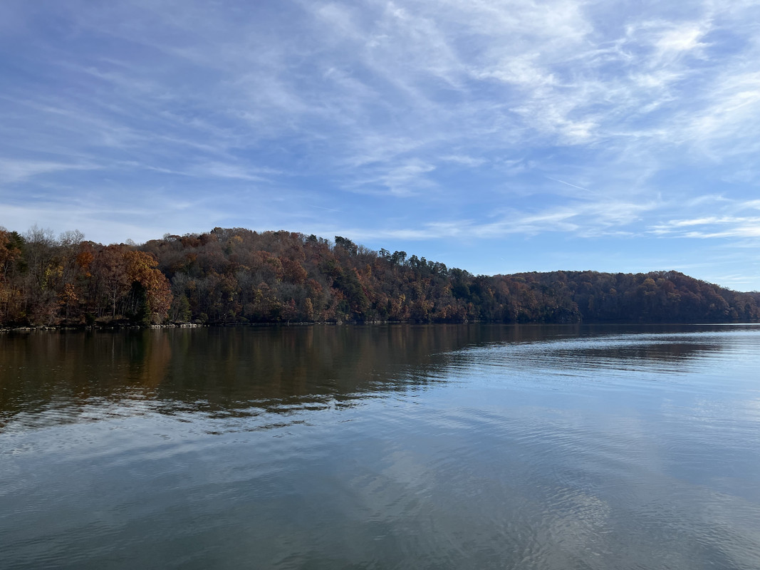 64056806-39-DC-40-E7-868-D-F5-D5-CD70140