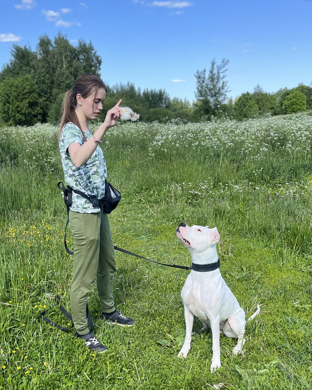 7725F123-FC68-46CA-B3E6-E405E6C3F69B