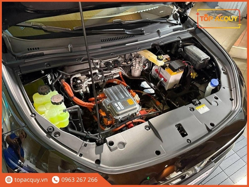 Thay bình ắc quy Vinfast Limo Green chính hãng