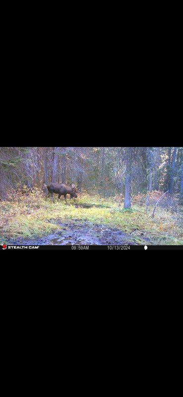 Screenshot_20250619_222659_Gallery