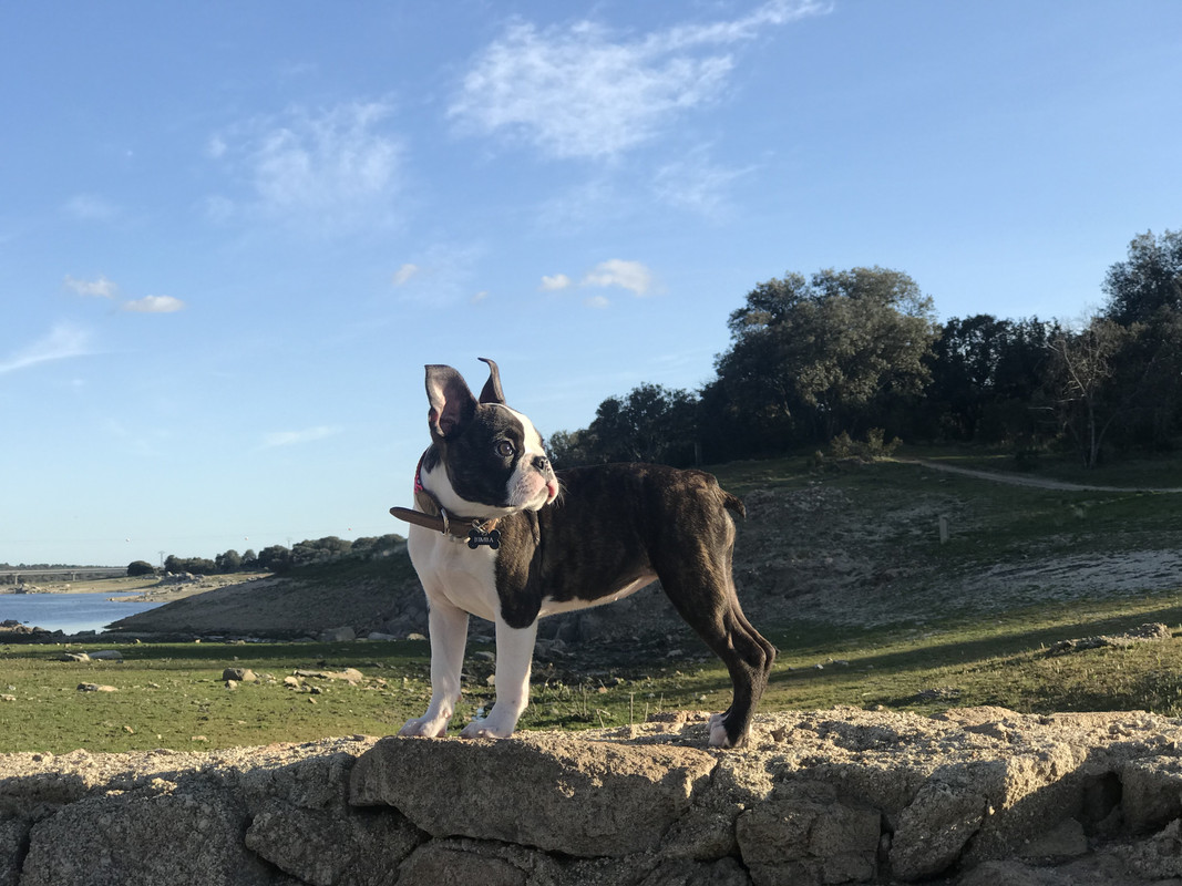 38F397FD-D705-40C8-A80E-94858236DBED