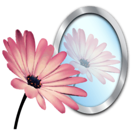 PhotoReflector 1.1.0 macOS