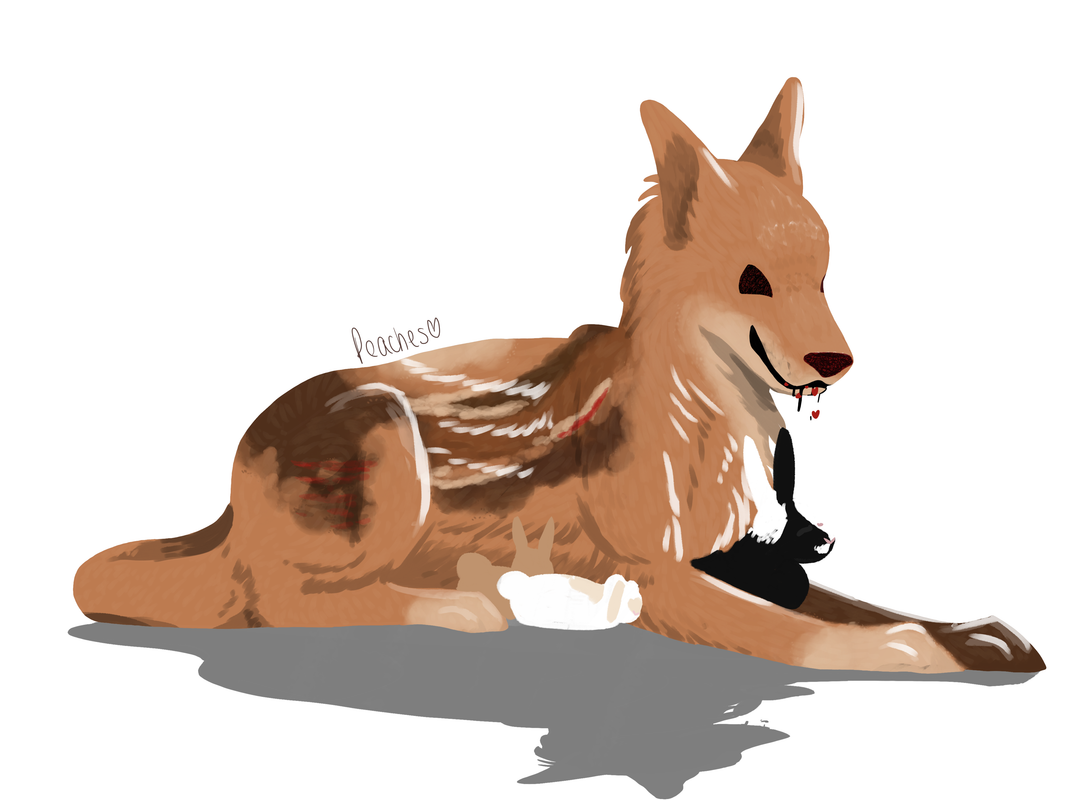 4732C542-9B0F-4A46-8DCE-9960A1C682C4