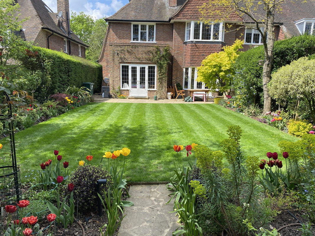 POA - meilleure marche à suivre ? | Lawn Care Forum, image size:1067x800