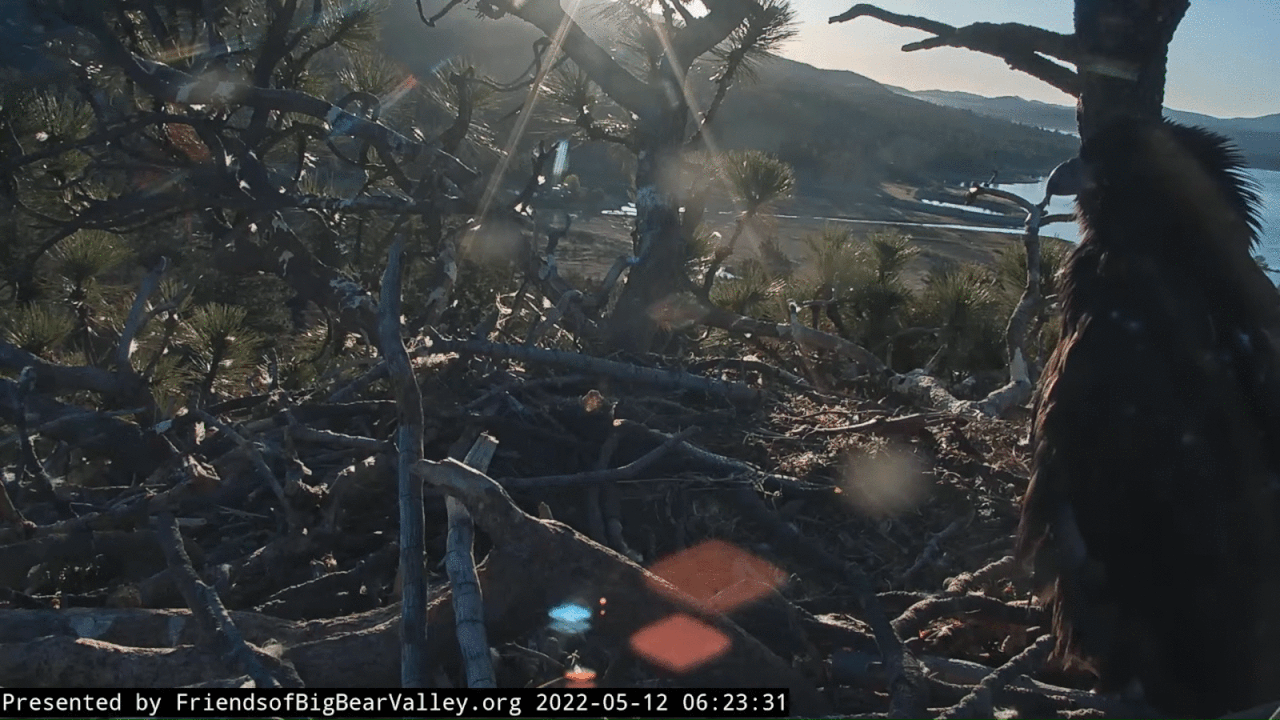 Webp.net-gifmaker (6)