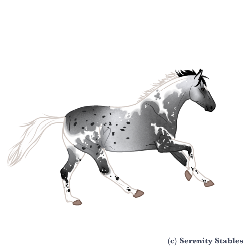 Untitled572-20240523215113.png
