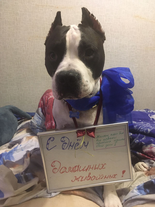 13818507-53DA-4748-BBDB-82498EC5EB7A