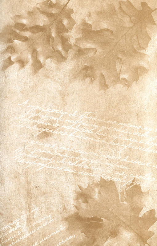 Mitajev-Oleg-Po-prozhilkam-listvennoj-ruki-page-0003